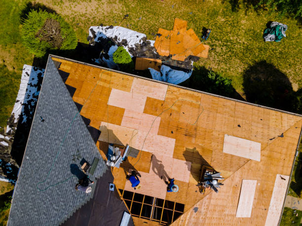 Best Roof Gutter Cleaning  in Ohkay Owingeh, NM